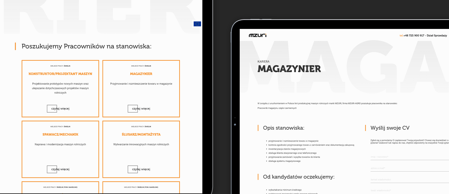 mzuri projekt graficzny strony internetowej z modułem kariera
