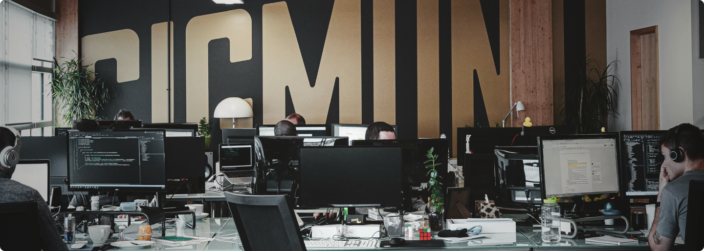 jakie sa ich doswiadczenia i portfolio