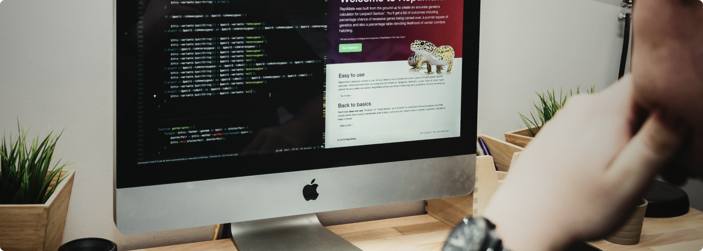 jakie technologie i systemy CMS oferuja