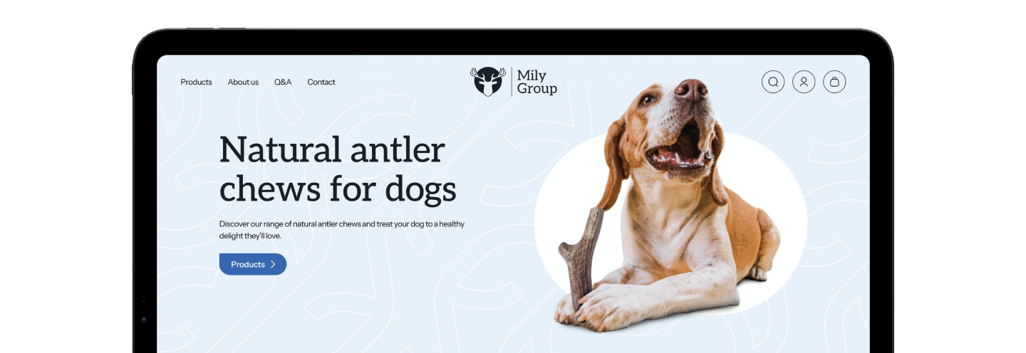 mily group sklep strona internetowa