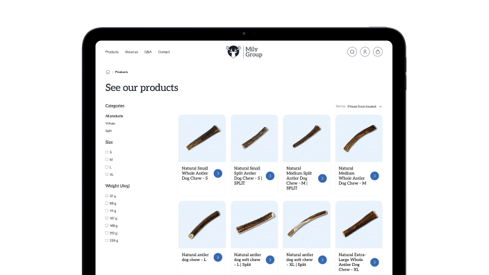 mily group strona internetowa