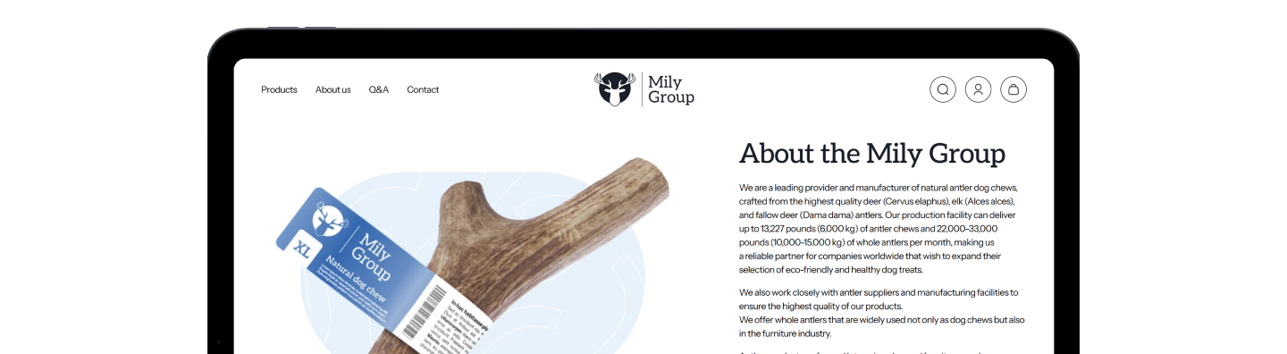 mily group strona www z systemem b2b
