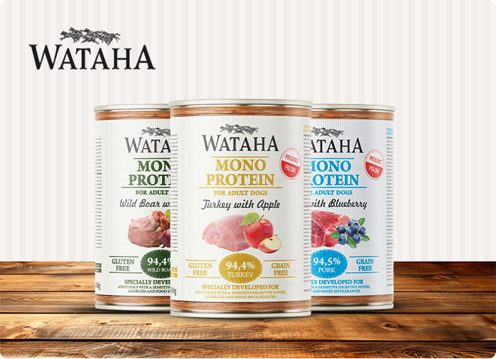 projekt strony www karma wataha