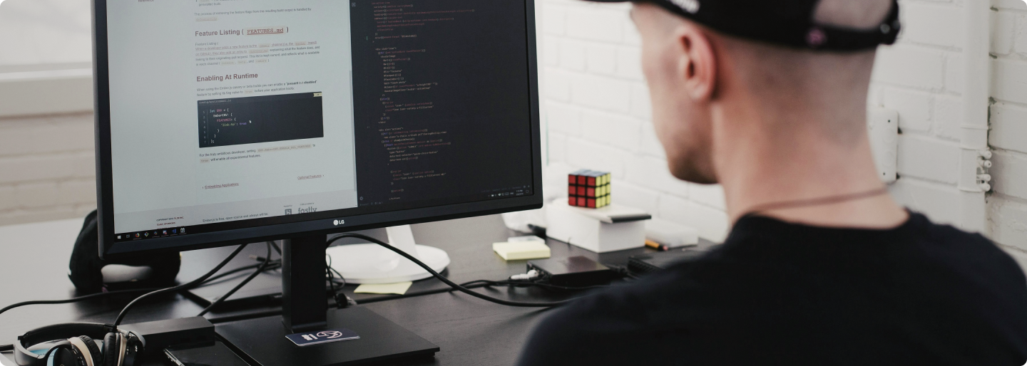 freelancer WordPress zalety i ograniczenia