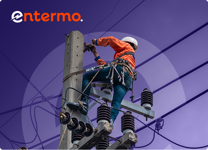 projekt strony www entermo