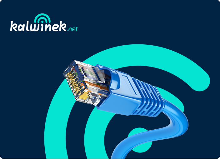 projekt strony www kalwinek