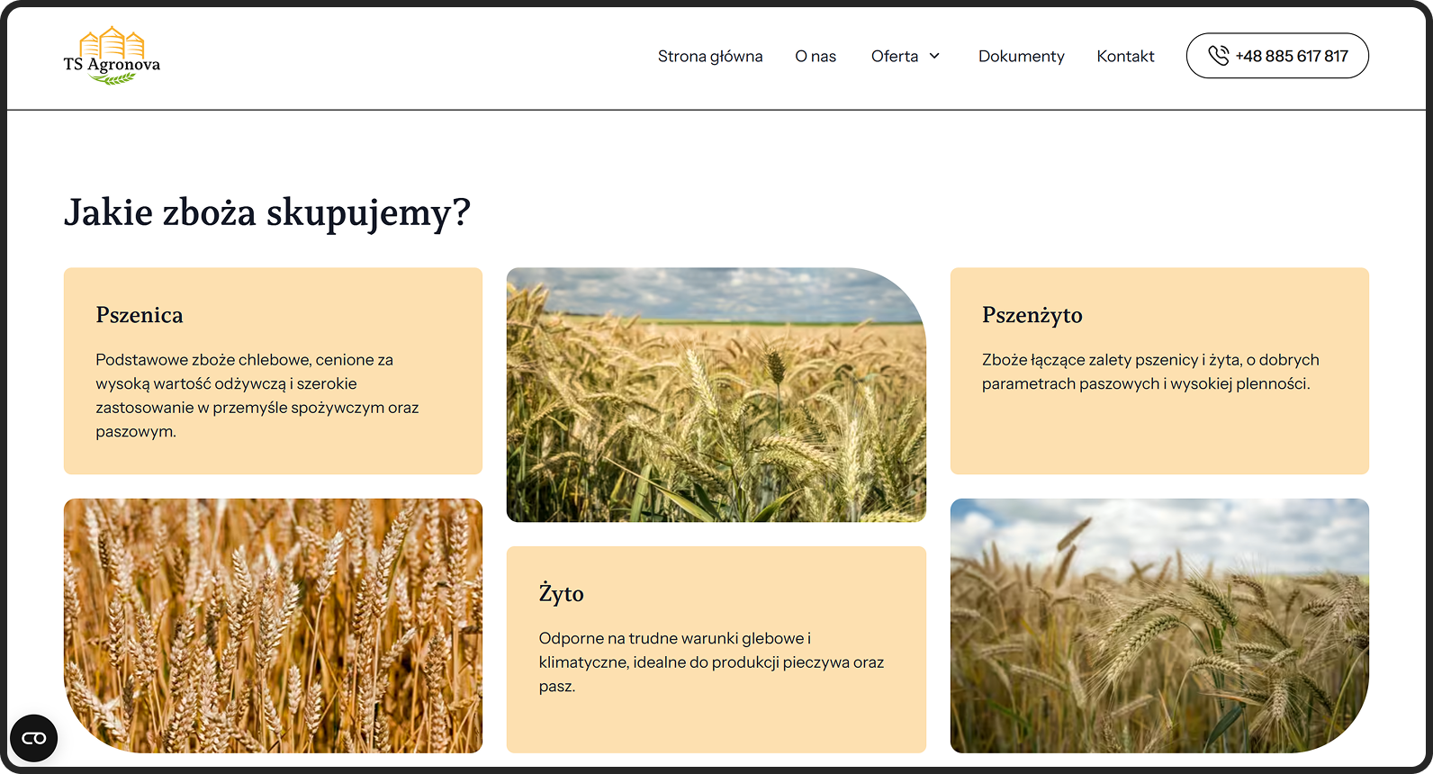 ts agronova dedykowany strona internetowa