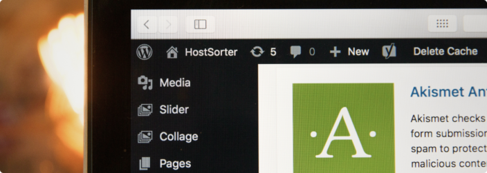 Dlaczego WordPress jest tak popularny?