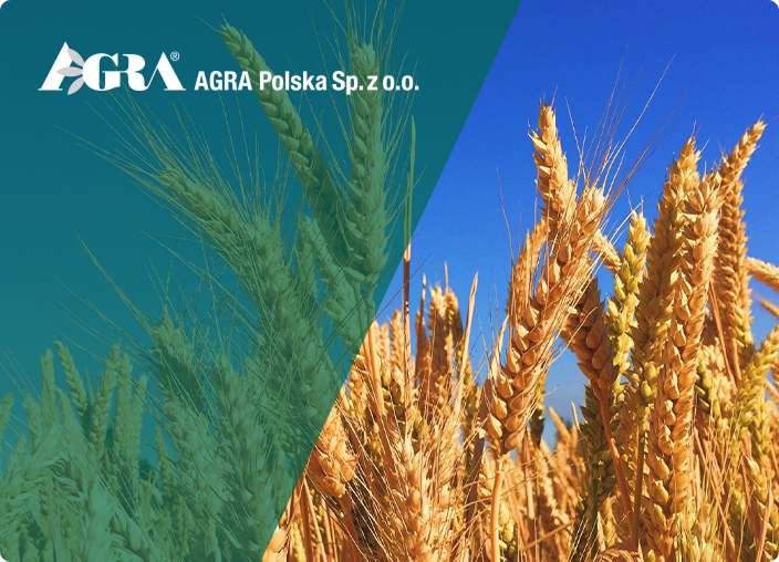 projekt strony www agra polska