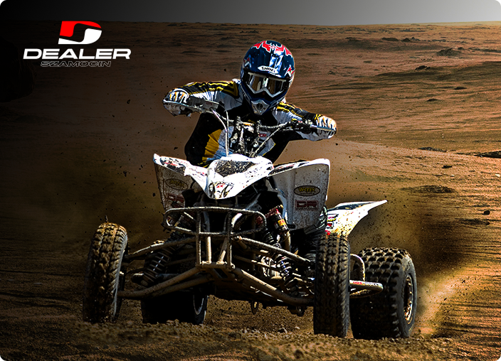 projekt strony www dealer szamocin