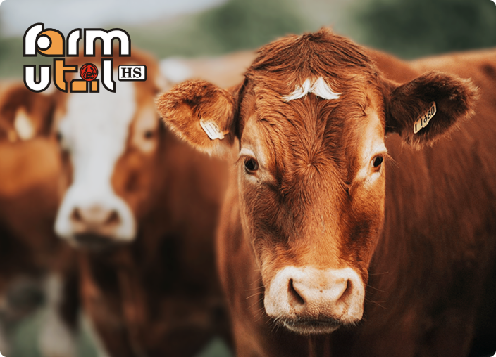 projekt strony www farmutil